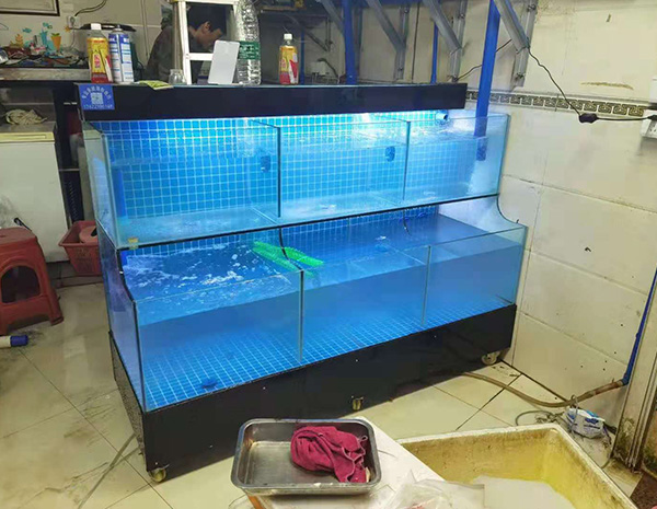海鲜饲养池