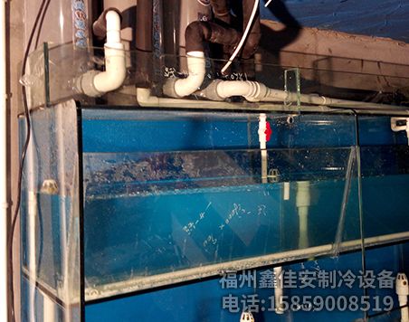 海鲜鱼缸