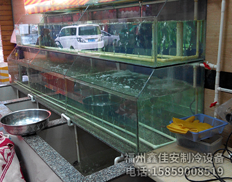 开放式酒店海鲜池