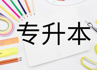 教育培训企业网站制作效果分享