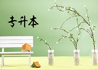太原专升本培训 太原专升本培训