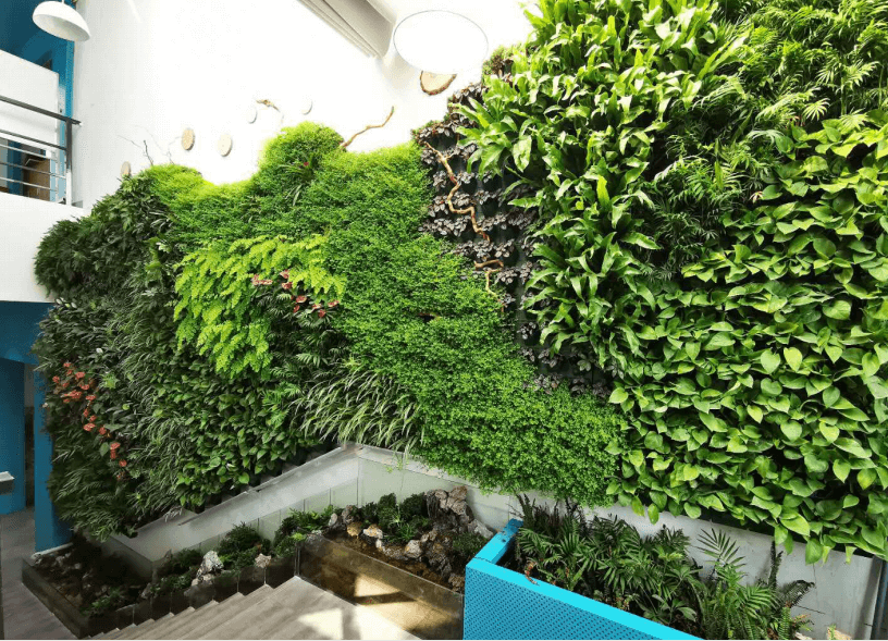 重庆植物墙设计公司