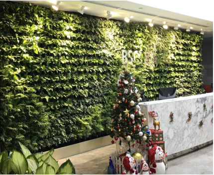 重庆垂直绿化公司介绍垂直绿化的养护方法