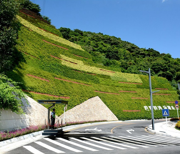 重庆垂直绿化设计工程