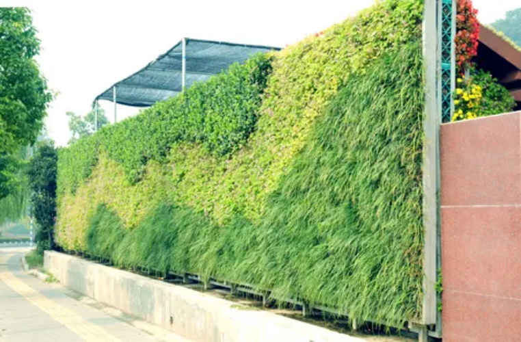 重庆垂直绿化公司