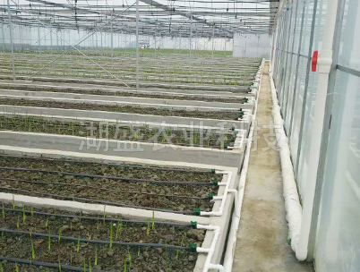 育苗大棚灌溉系统工程