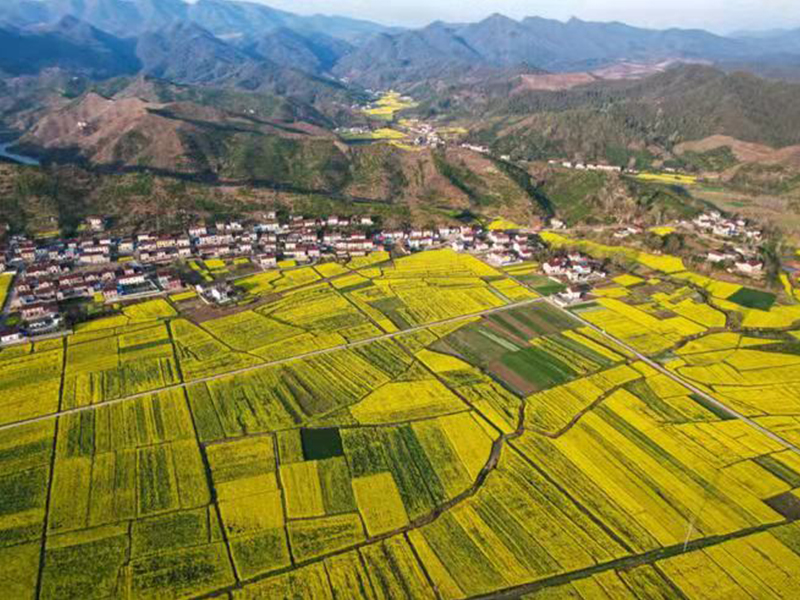逸瘦健康基地