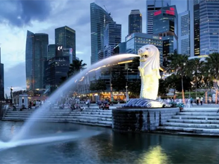 新加坡创新投资准证ENT