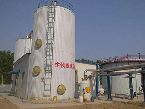 生物脱硫 生物脱硫