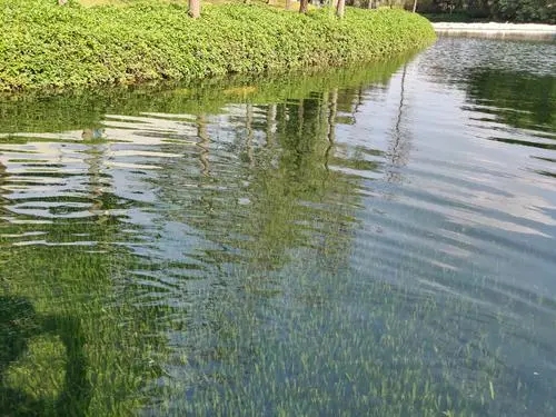水环境治理协同合作，福州黑臭河治理效果显著。