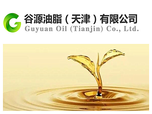 天津20吨榨菜籽油机器项目