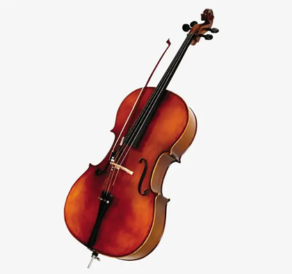 重庆小提琴培训