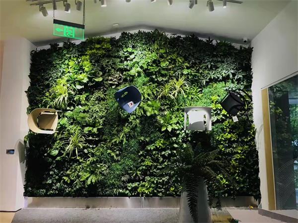 重庆植物墙种植盒公司