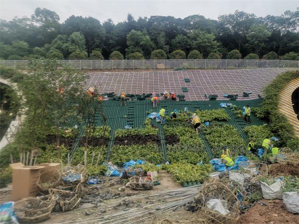 重庆屋顶绿化种植盒安装