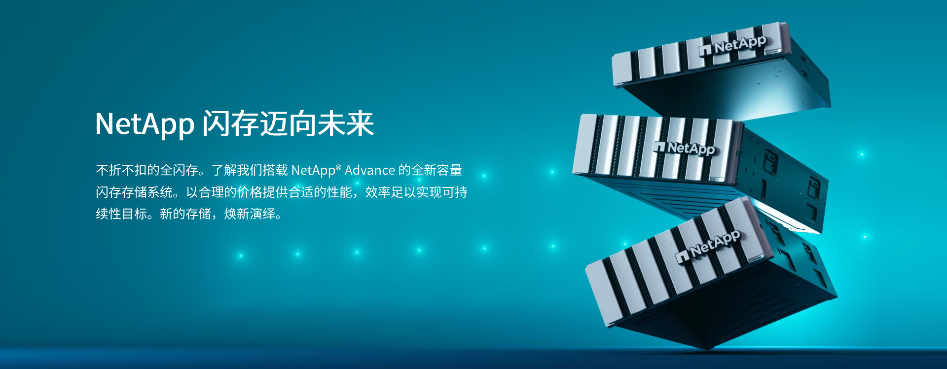 NetApp存储代理