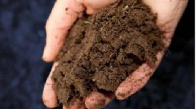 长沙土壤检测公司给你分享土壤检测有什么步骤