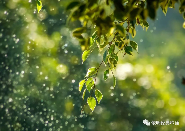 學員心路（四）：讀誦《道德經》是療愈抑郁的奇方
