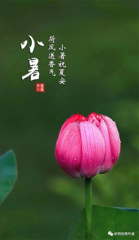 道德经脉轮声疗