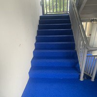 贺：我司施工的龙潭湖公园停车楼楼梯踏步EPDM橡胶颗粒地坪工程圆满竣工！！！