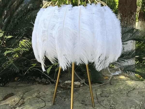 綿陽鴕鳥毛工藝品