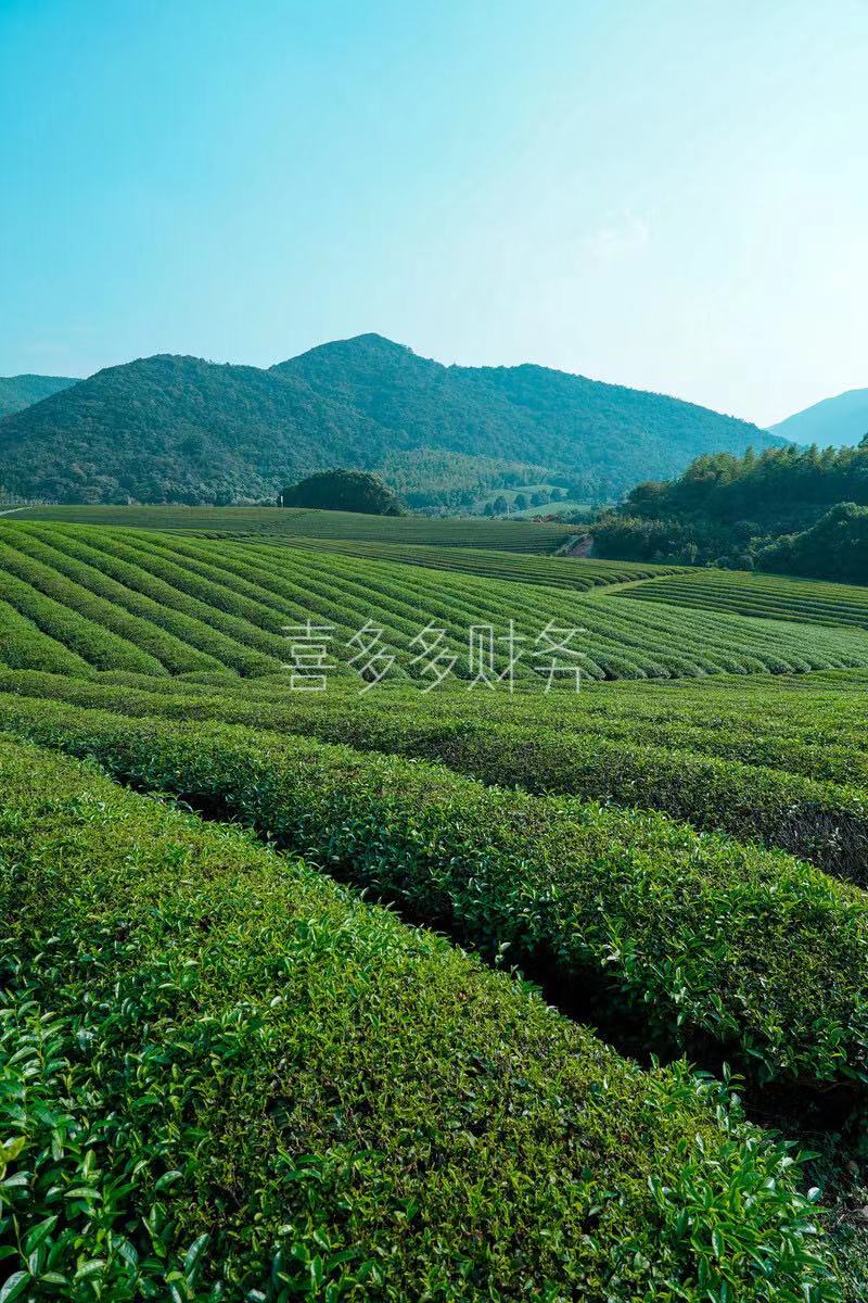 芜湖某茶业公司