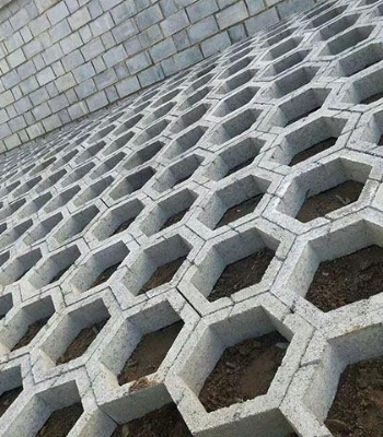混凝土生态坡框、护坡砖3