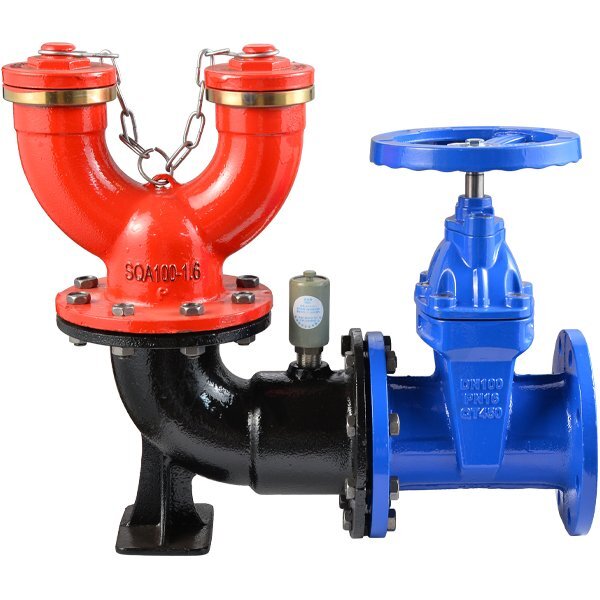 天津SQA100-1.6多用式消防水泵接合器（地上式）