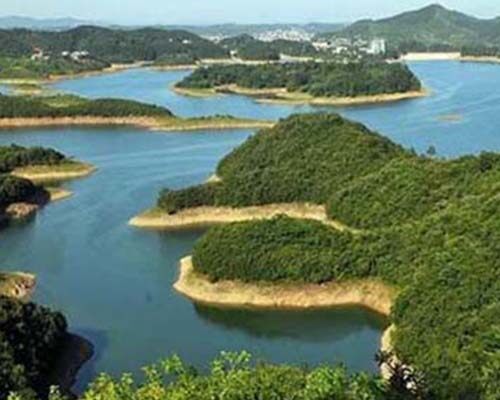 河道水庫劃界及安全鑒定項目