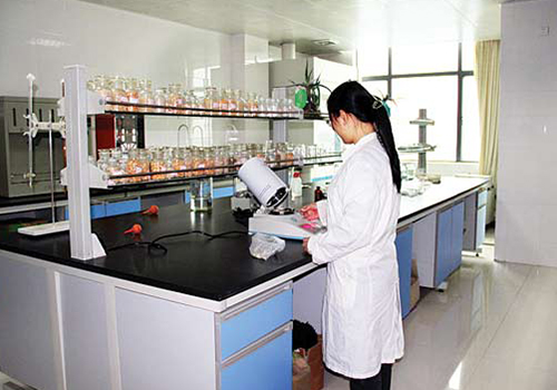 化验室1