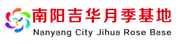 南阳吉华月季基地