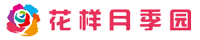 花样盆栽月季基地