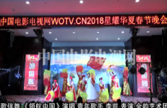 中国电影电视网春晚网络评选节目之二十一