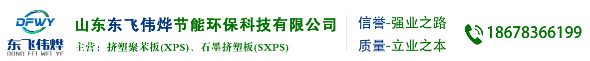 山东东飞伟烨节能环保科技有限公司
