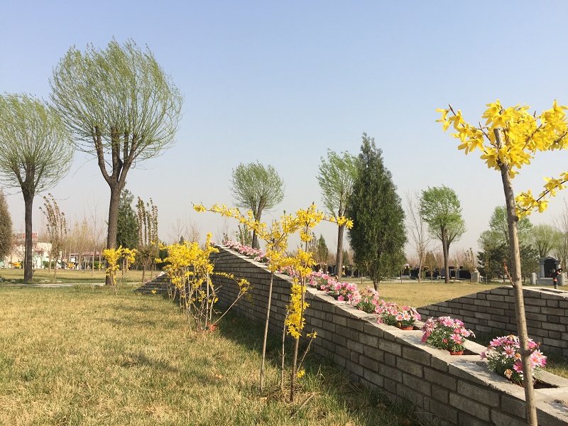 你知道这些涿州公墓管理规定吗？（下）