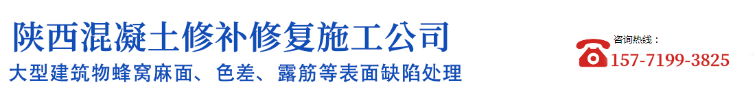 陕西凌鹏工程公司_Logo