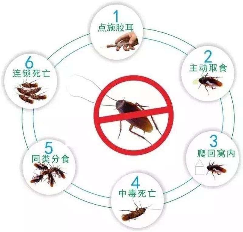 灭蟑螂杀虫