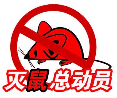 长沙灭鼠公司告诉你写字楼灭老鼠的方法