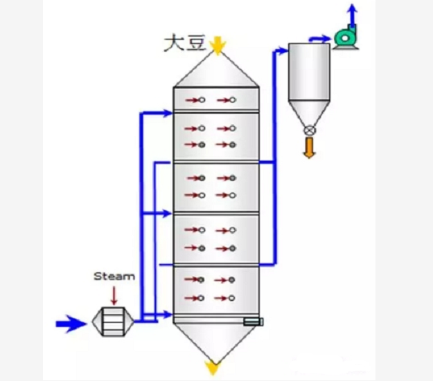 大豆调质图