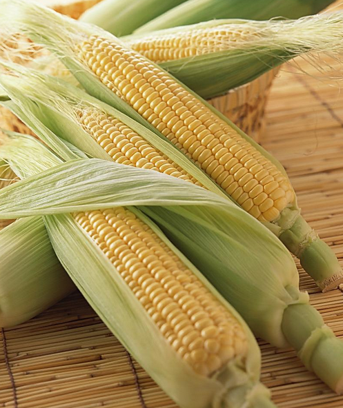 安阳米皮培训加盟商电话分享哪种吃法不易破坏玉米的营养