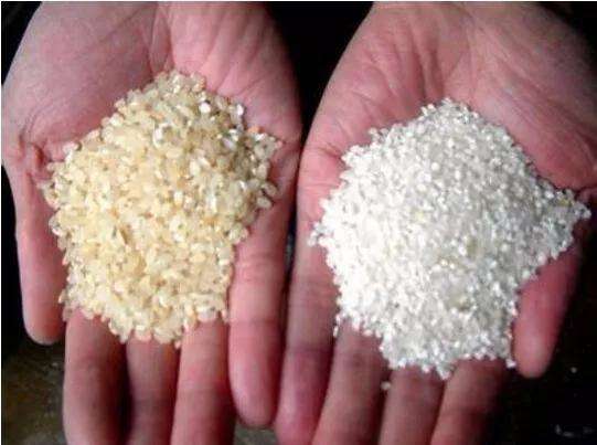 碾削程度对大米颜色的影响