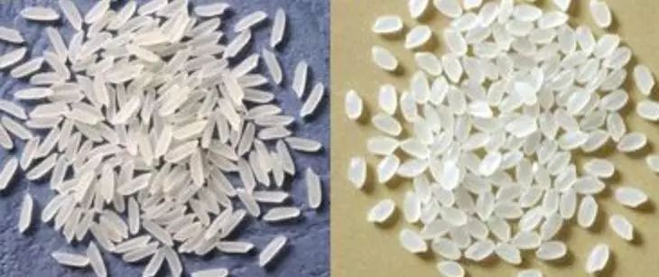 稻谷粒形对碾米设备的影响