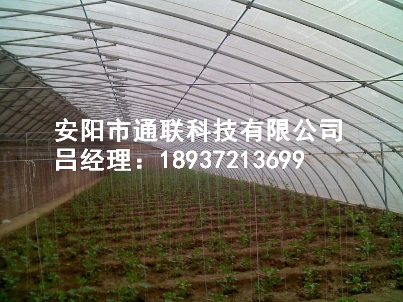 河南鹤壁专业蔬菜温室大棚建设电话这块的一个具体情况以及简单的介绍
