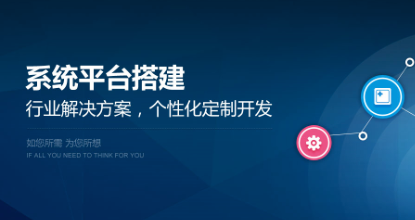软件开发