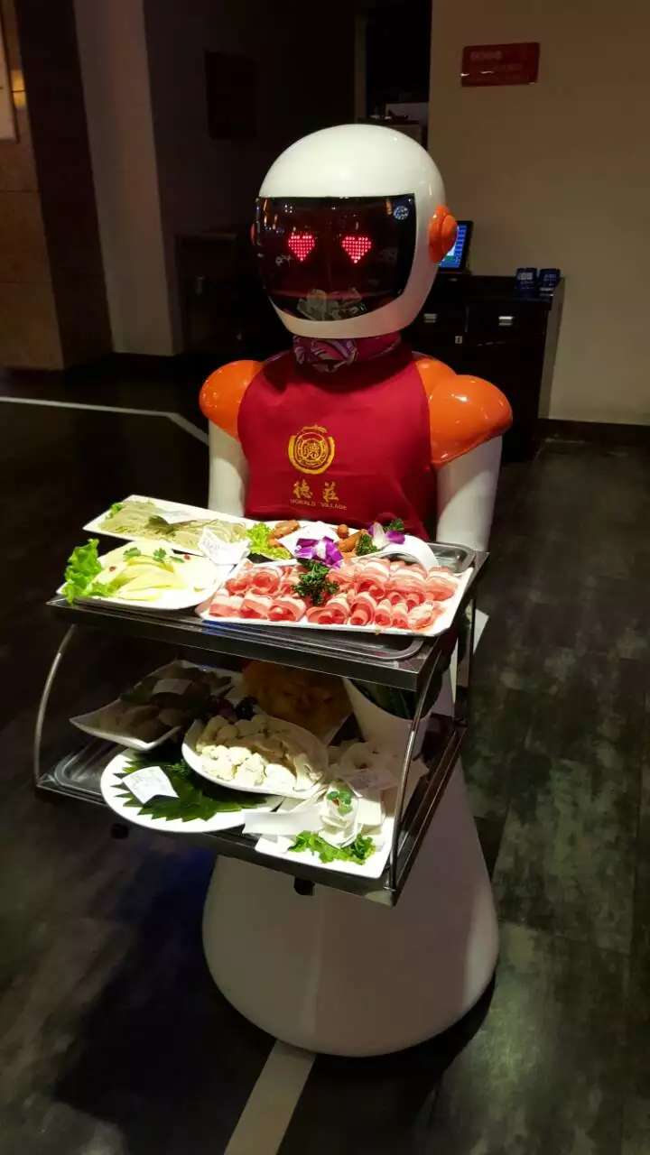 从仿人形机器人到送餐机器人_技术合作_项目