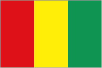 几内亚ICTN