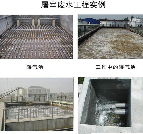 屠宰污水处理设备厂家
