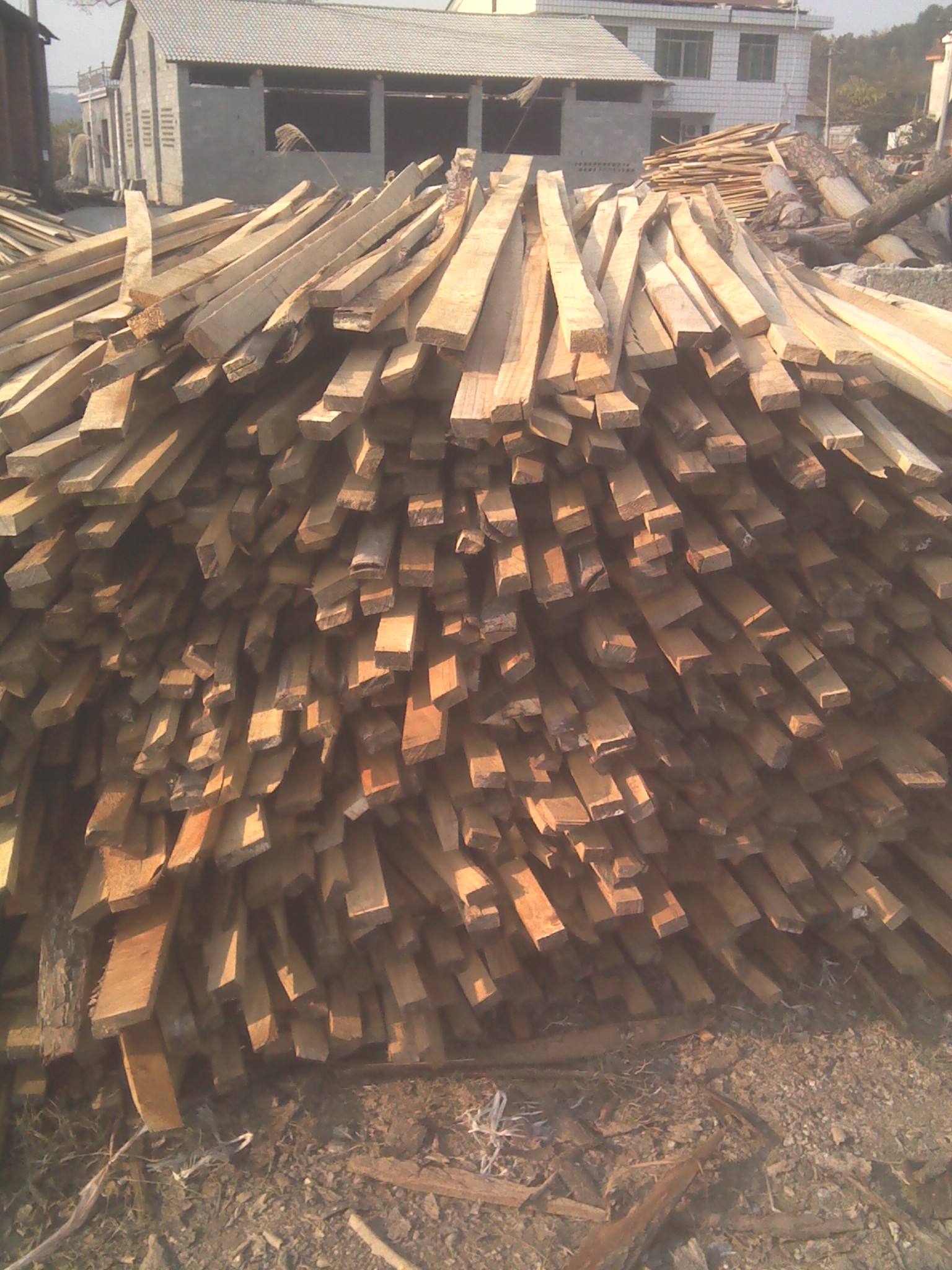 杨木单板价格由益阳滨海木业提供真实木材加工场照片