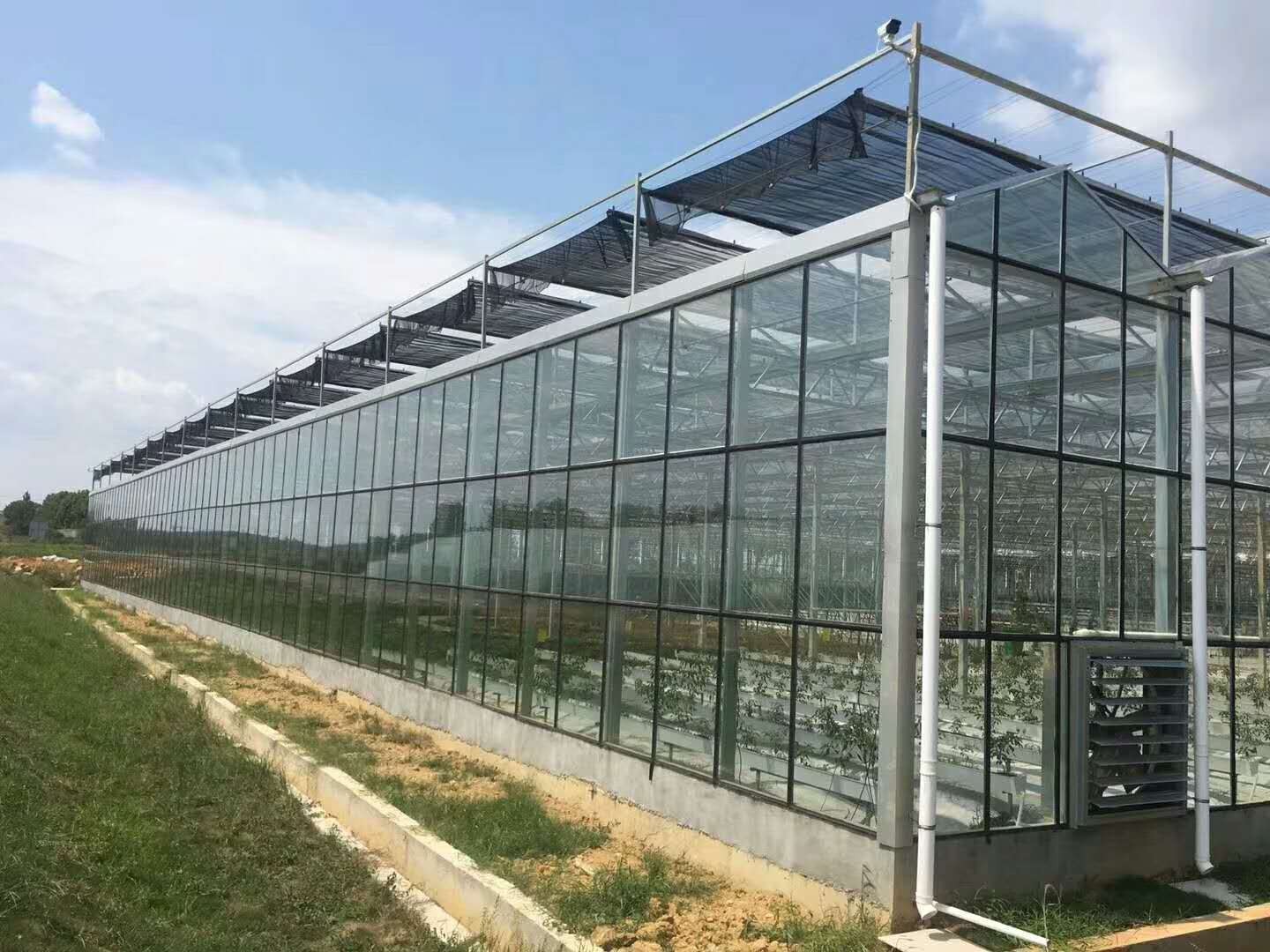 西安大棚建造厂家分享玻璃温室大棚建设主要3个技术性能指标