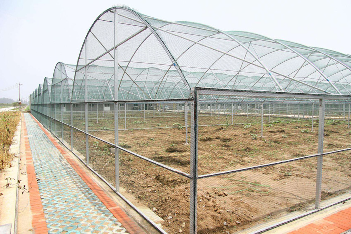西安蔬菜温室大棚建设时如何选择合适的场地？
