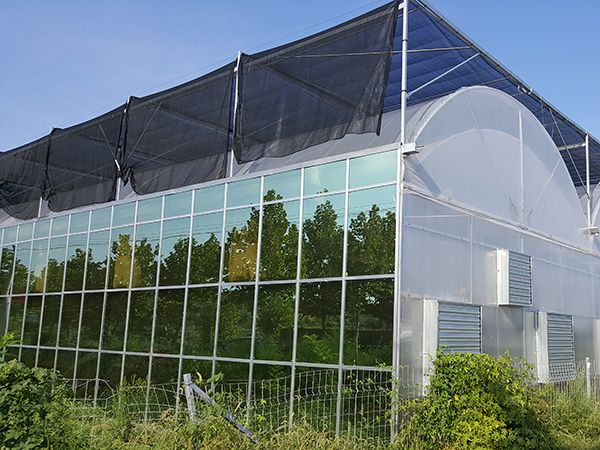西安智能玻璃温室的设计原理及建造玻璃温室的优势